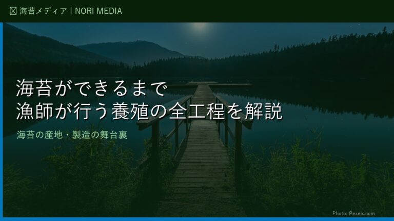 海苔ができるまで：カキ殻の中の「種」から板海苔まで、養殖と加工の全工程を解説