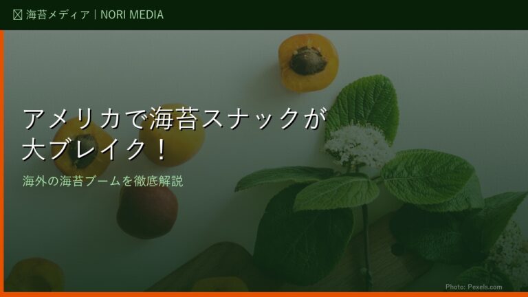 アメリカで海苔スナックが大ブレイク！海外の海苔ブームを徹底解説