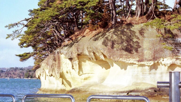 宮城県・松島湾の松の島